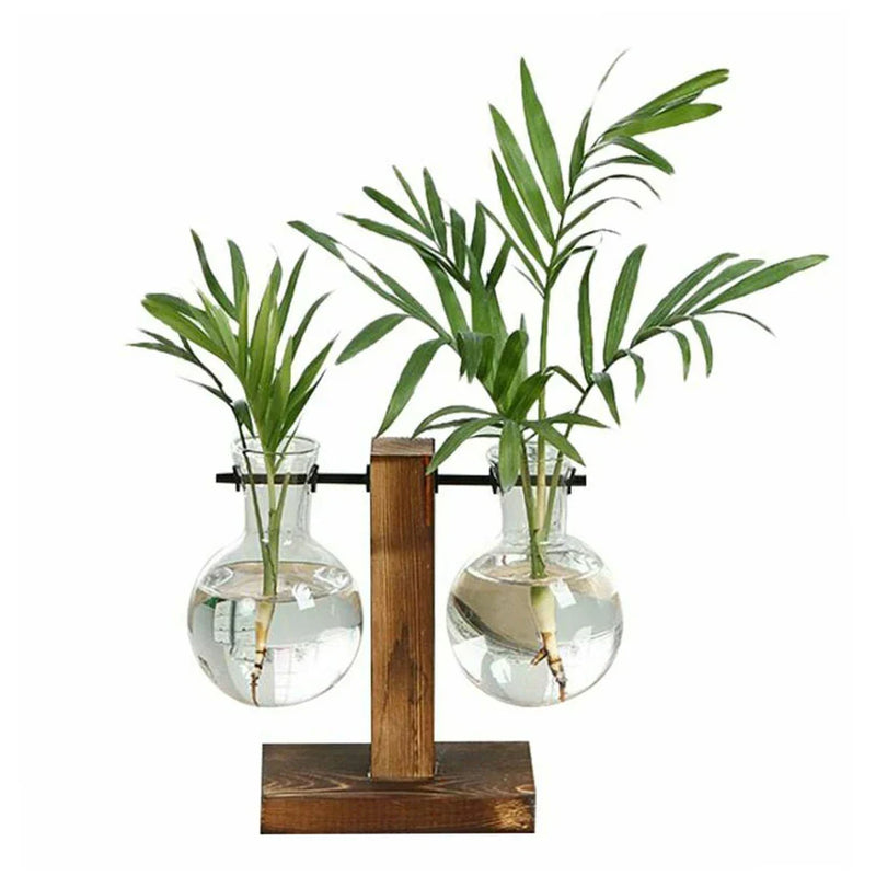 Terrarium Hydroponic Plant Vases Vintage Flower