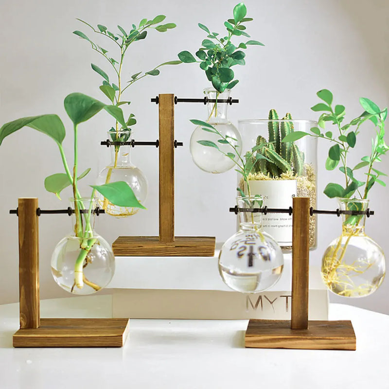 Terrarium Hydroponic Plant Vases Vintage Flower