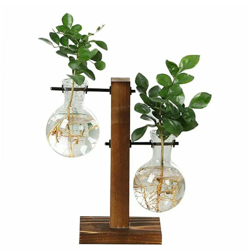 Terrarium Hydroponic Plant Vases Vintage Flower